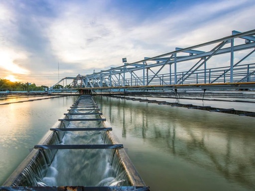 الإدارة المتكاملة لموارد المياه باستخدام MIKE