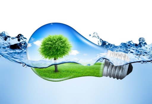 Unifying Water, Energy, Food & Environment: A New Vision for Global Water Governance